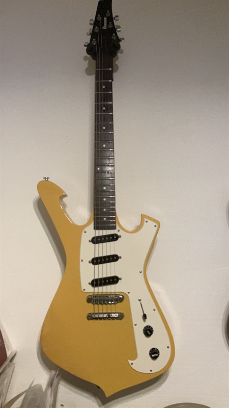 Ibanez FRM100 MSTの画像